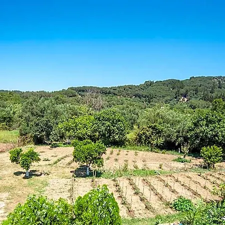 Vassilis Paradise Garden